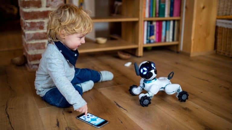 The Impact of Intensive Interactions on Robot Pet Wear