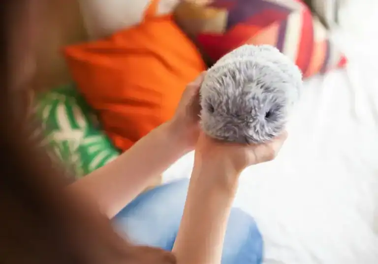 Are Robot Pets Worth the Investment?