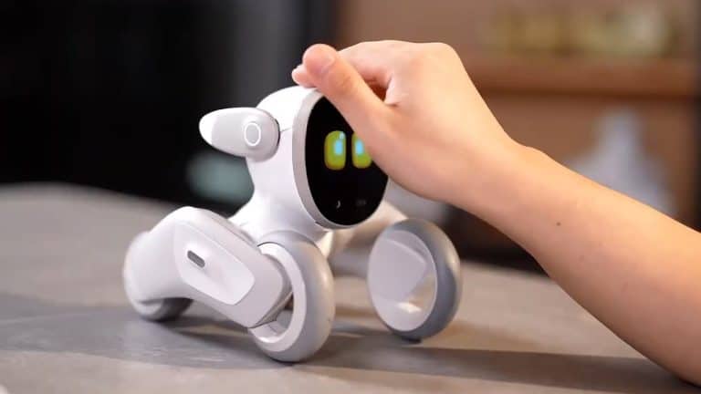 The Total Cost of Robot Pet Ownership [CALCULATED]