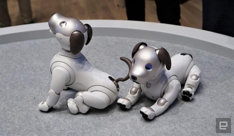 Robot Pet Adoption Incentives and Rebates to Take Advantage Of
