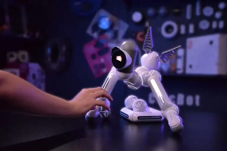 Economic Barriers: The Accessibility of Robot Pets for Different Income Levels