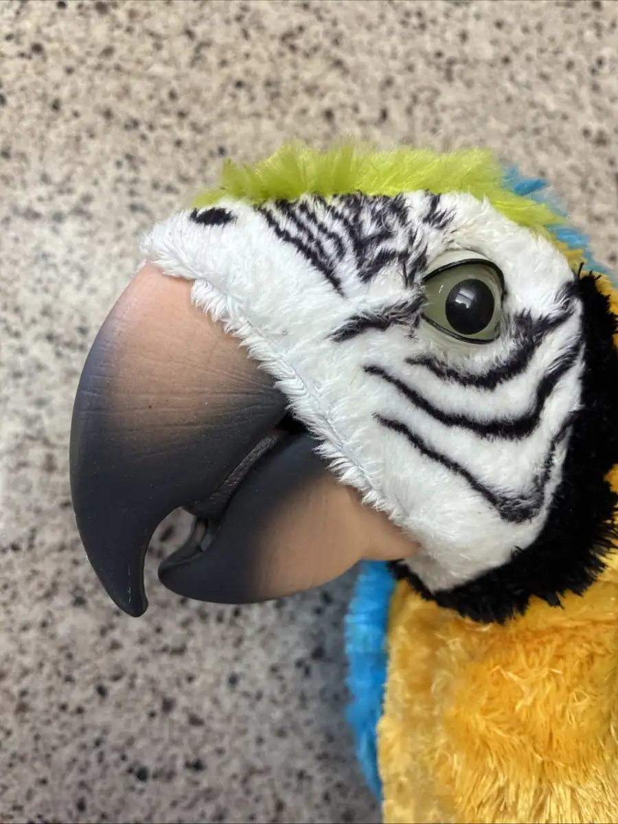 Furreal Hasbro Friends Squawkers McCaw Parrot Review