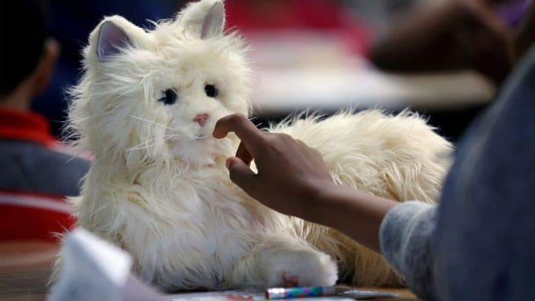 Best Robot Pets for Anxiety