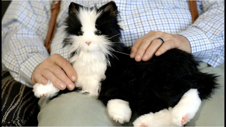 Best Robot Pets for Seniors Living Alone