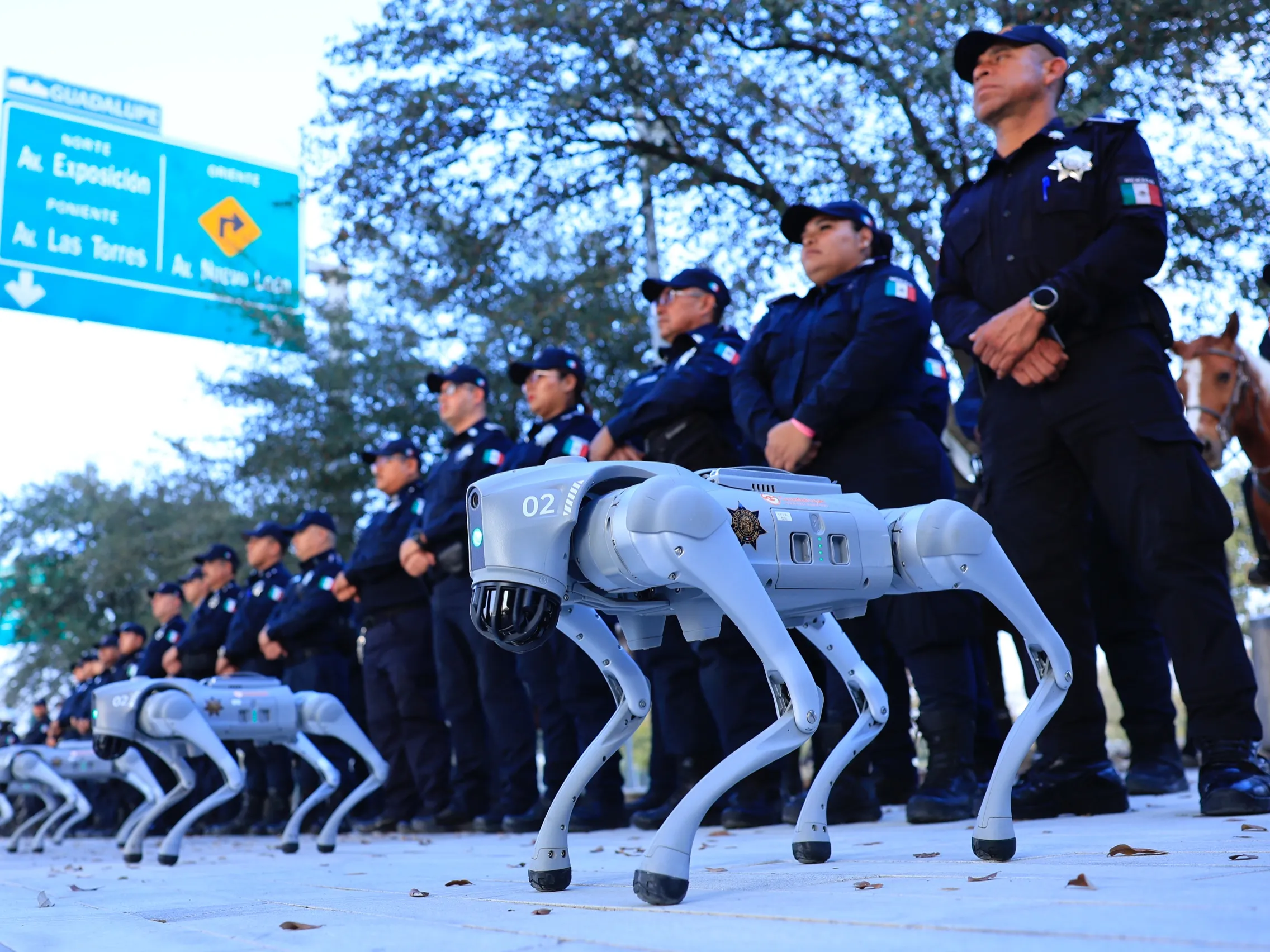 Robot Dogs Join World Cup Security Efforts for FIFA 2026