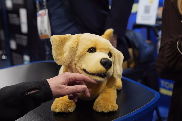 Haptic Feedback vs. Other Sensory Interactions in Robot Pets: A Comparison